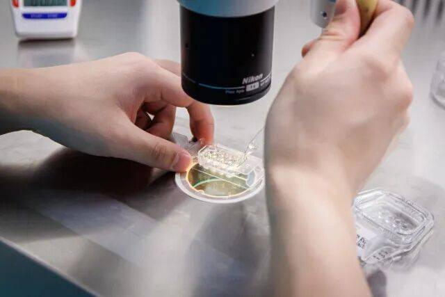 皇冠信用盘会员开户
_一婴儿出生就15岁皇冠信用盘会员开户
!被称为“最老婴儿”